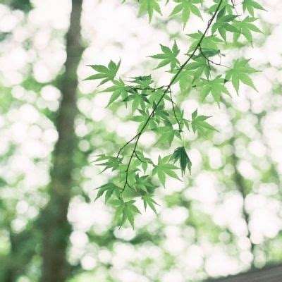 星空app官方版下载手机版